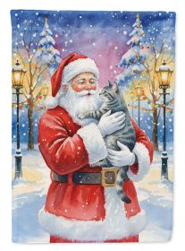 Gray Mackerel Tabby Cat with Santa Claus House Flag Large Porch Sleeve Pole Decorative Outside Yard Banner Artwork Wall Hanging, Polyester, House Size