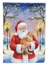 Orange Classic Tabby Cat with Santa Claus House Flag Large Porch Sleeve Pole Decorative Outside Yard Banner Artwork Wall Hanging, Polyester