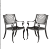 CAYMAN ARCH MESH I CHAIR(set of 2)